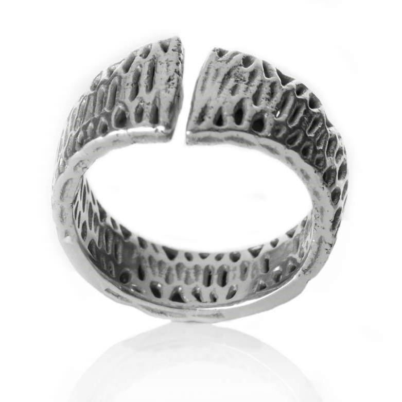 Miniatura 3 do modelo 3D Voronoi Ring