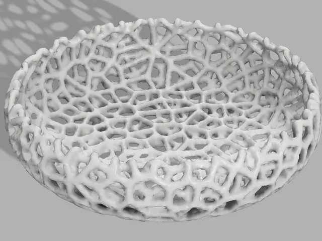 Voronoi Soap Dish