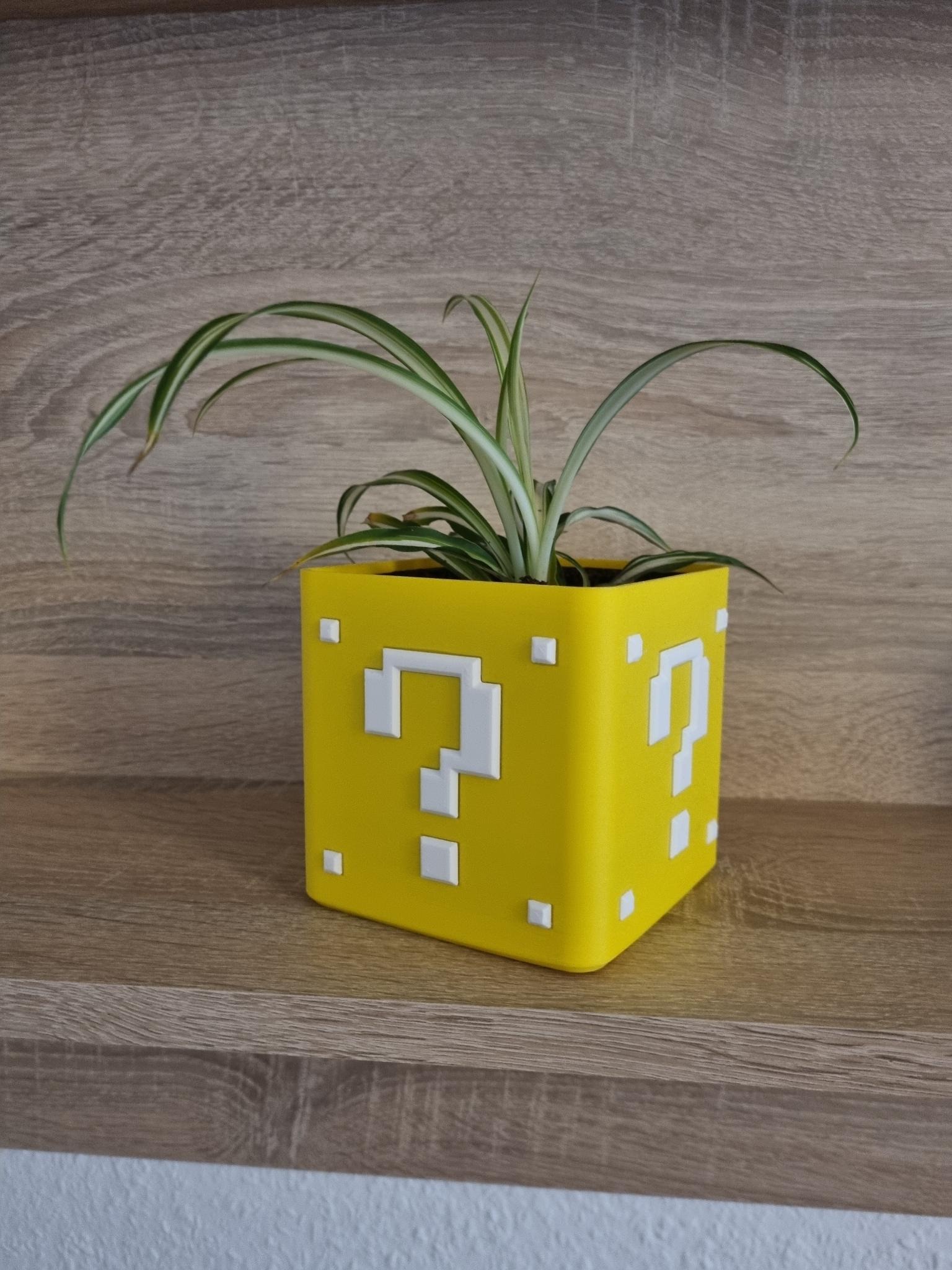 Mario Coin Block Single Extrusion