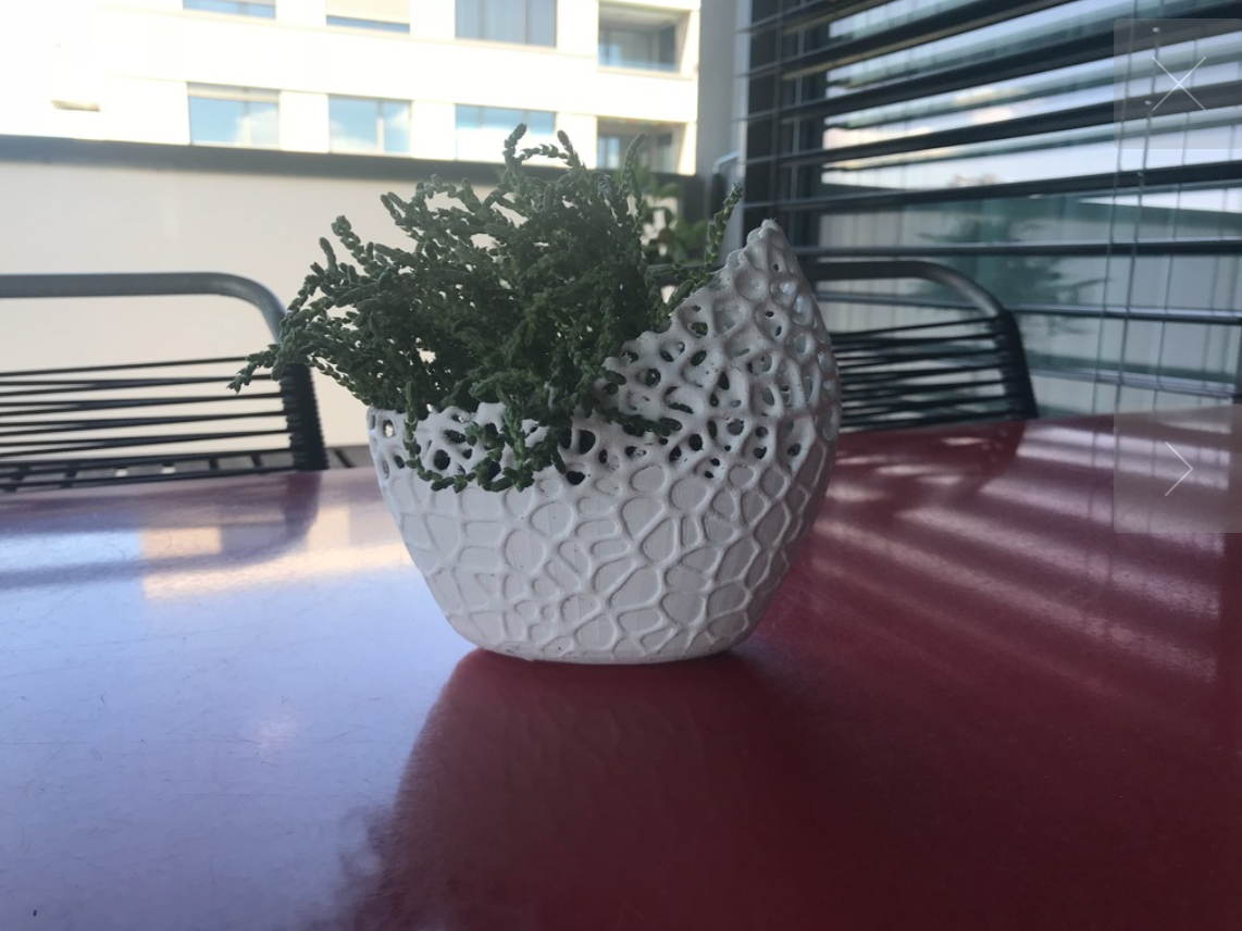Voronoi Flower Pot