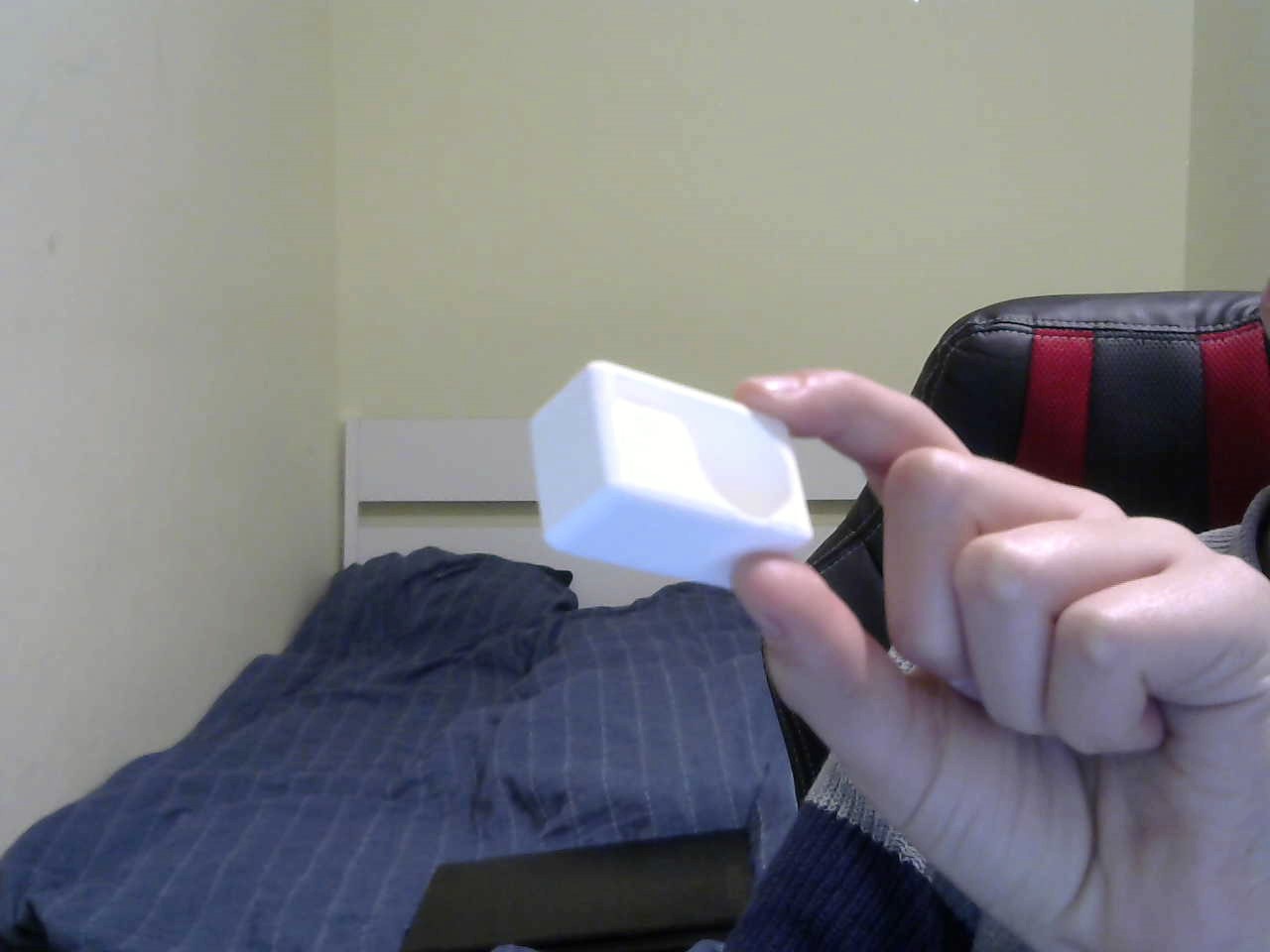 Holder for prusa whistle