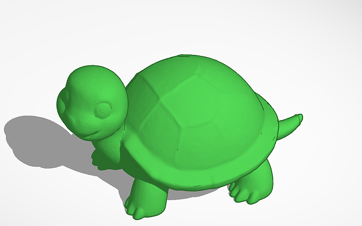 Turtle