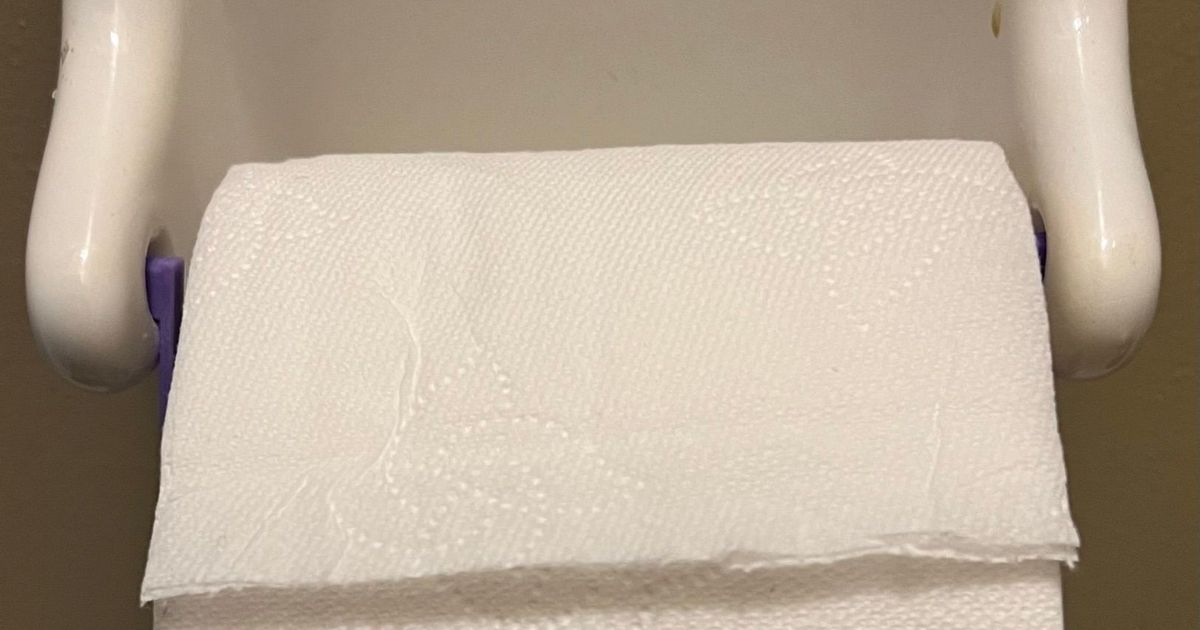 Large Toilet Paper Roll Extender Simple by Tad Download free STL model