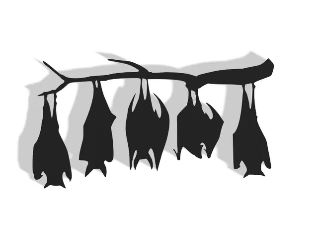 Bats Decor