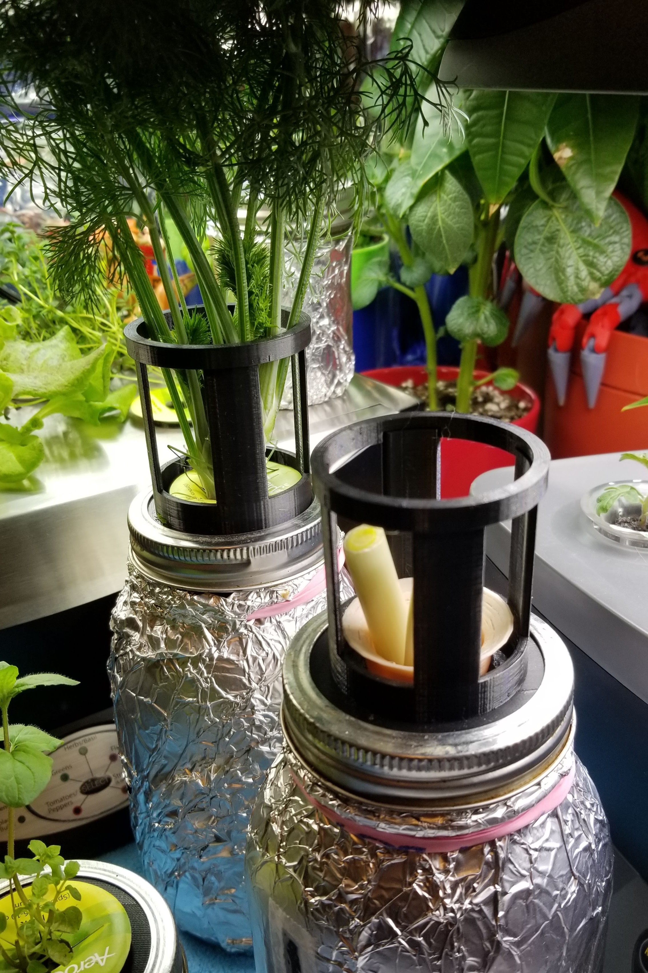 AeroJar with plant support
