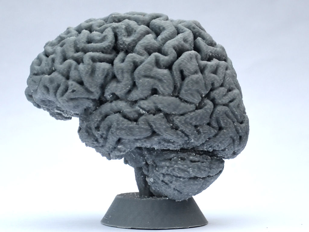Miniatura 3 do modelo 3D Human Brain