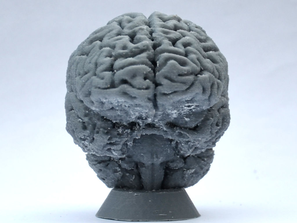 Miniatura 4 do modelo 3D Human Brain