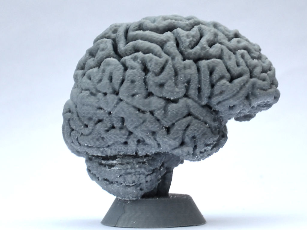Miniatura 5 do modelo 3D Human Brain