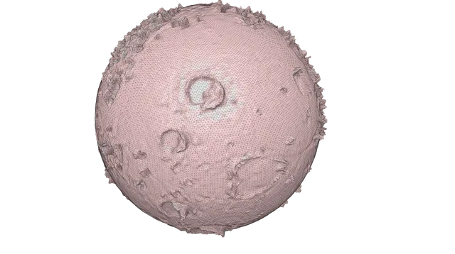 Moon