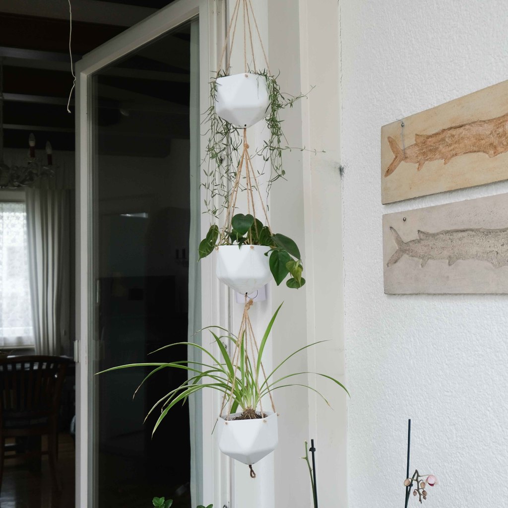 Hanging Planters