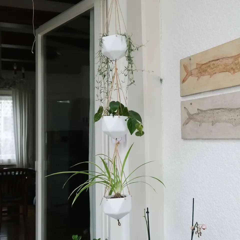 Hanging Planters by MakerMind | Download free STL model | Printables.com