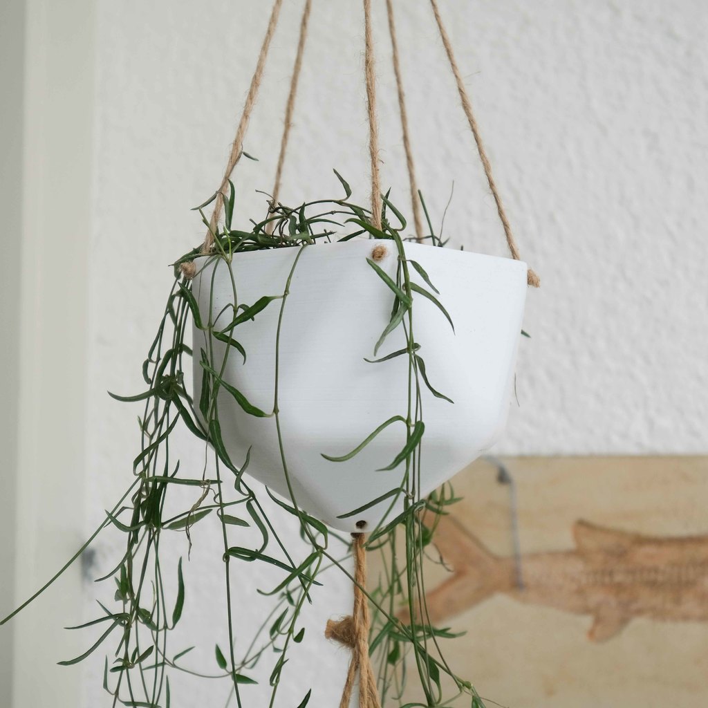 Hanging Planters — miniatura 2