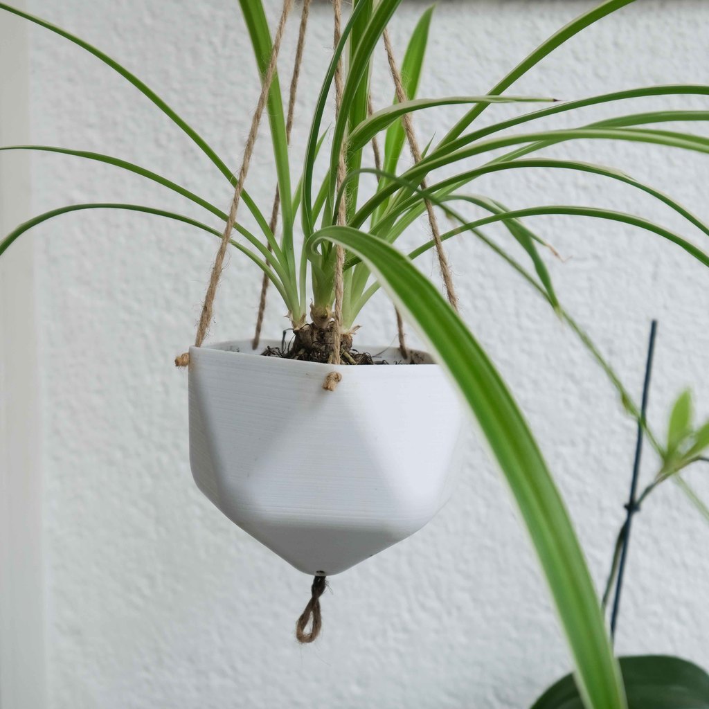 Hanging Planters — miniatura 3