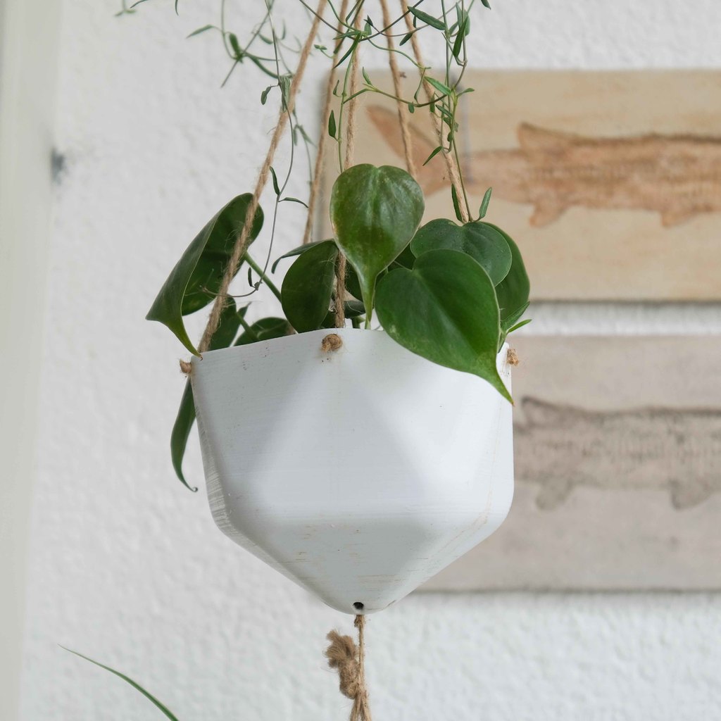 Hanging Planters — miniatura 4