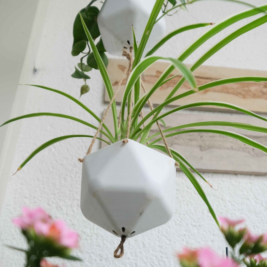 Hanging Planters — miniatura 5