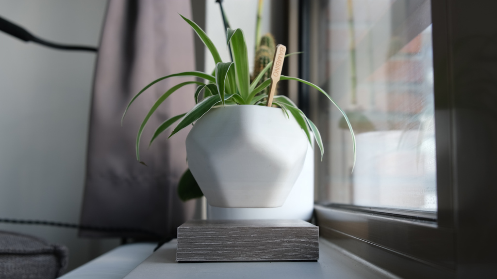 Levetating Plant Pot