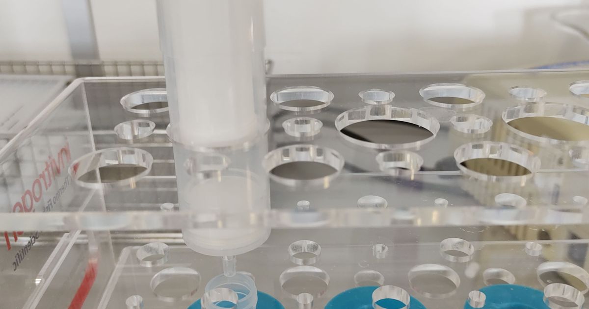 Midiprep rack 15 mL conical tube adaptor by AtomicVirology | Download ...