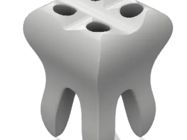 TOOTHBRUSH HOLDER