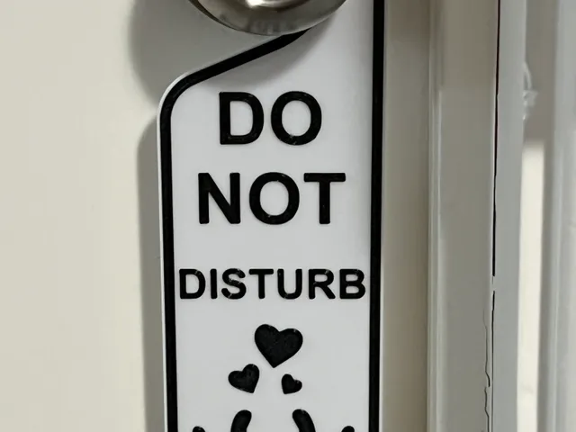 Do Not Disturb Signs