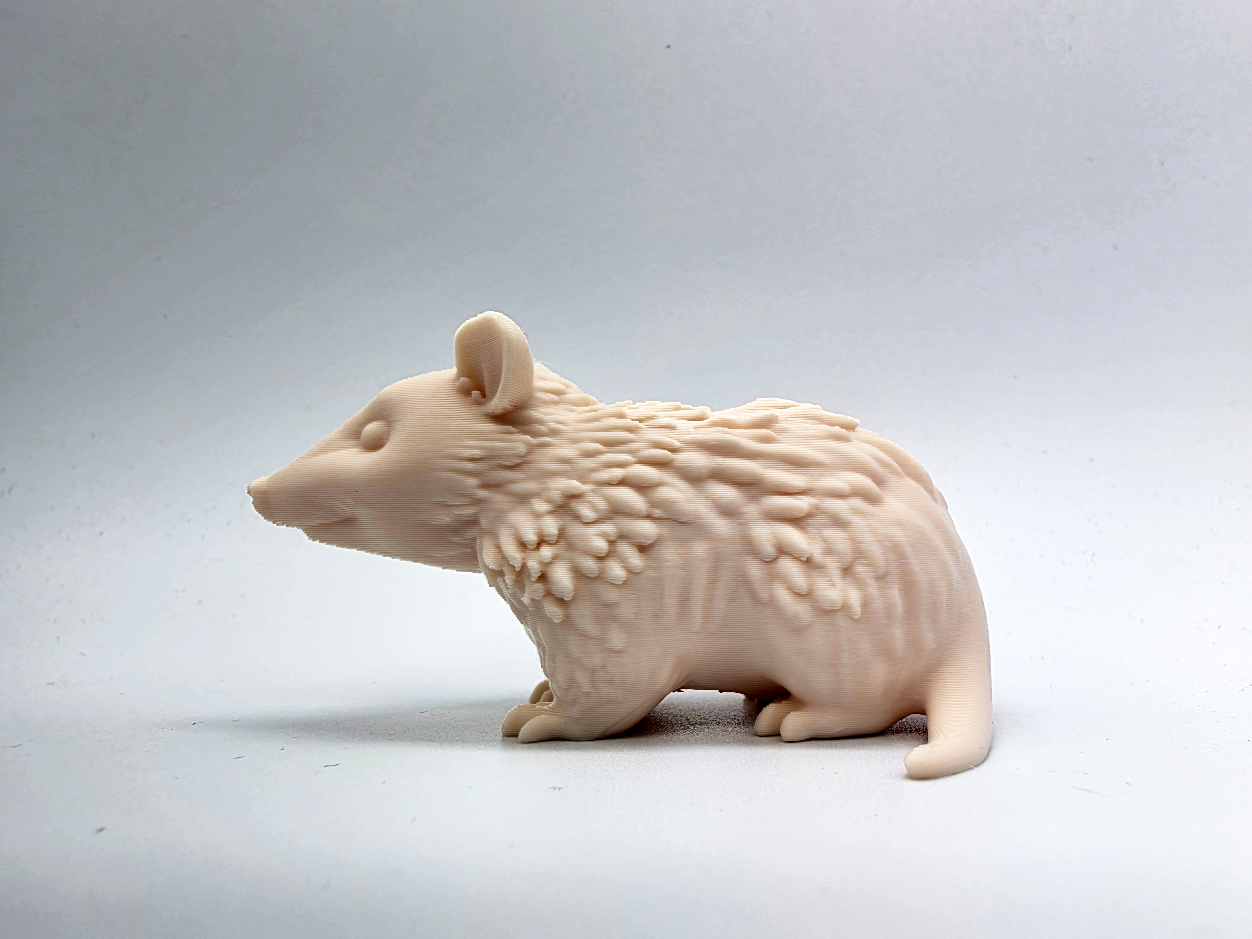 Miniatura 2 do modelo 3D Opossum