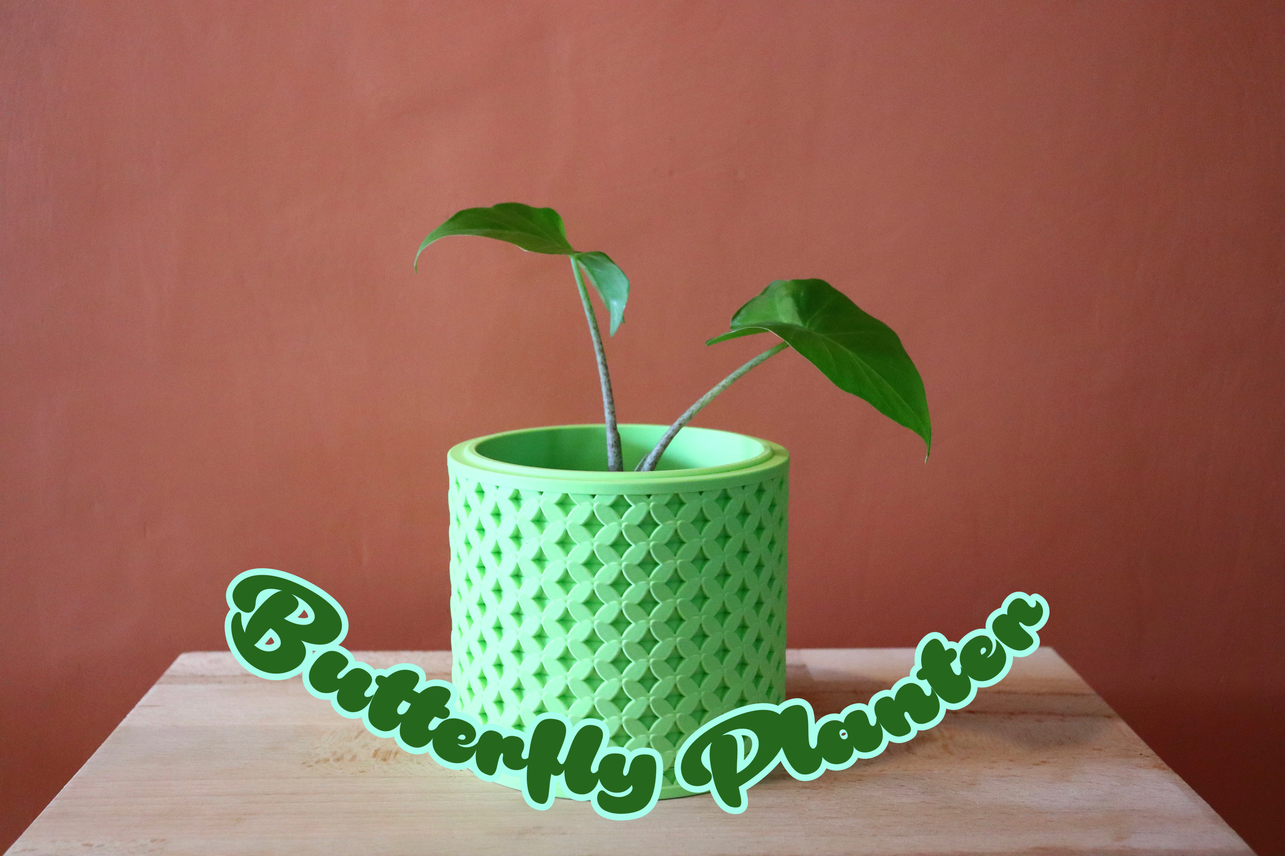 Butterfly Planter