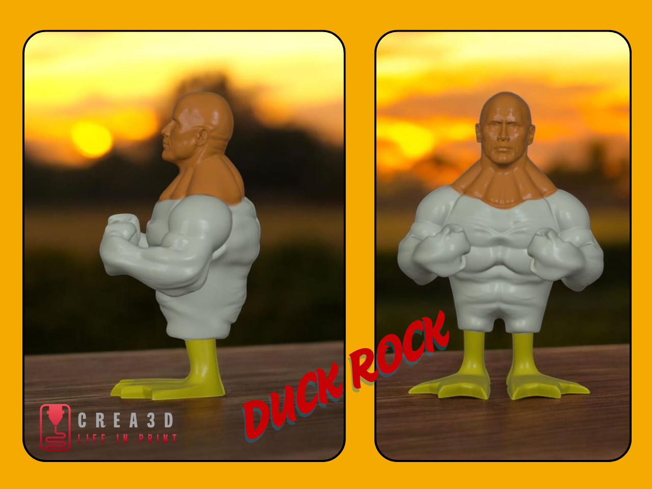 duck rock