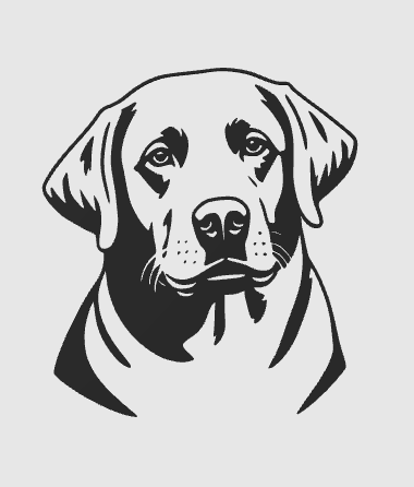 wall art labrador