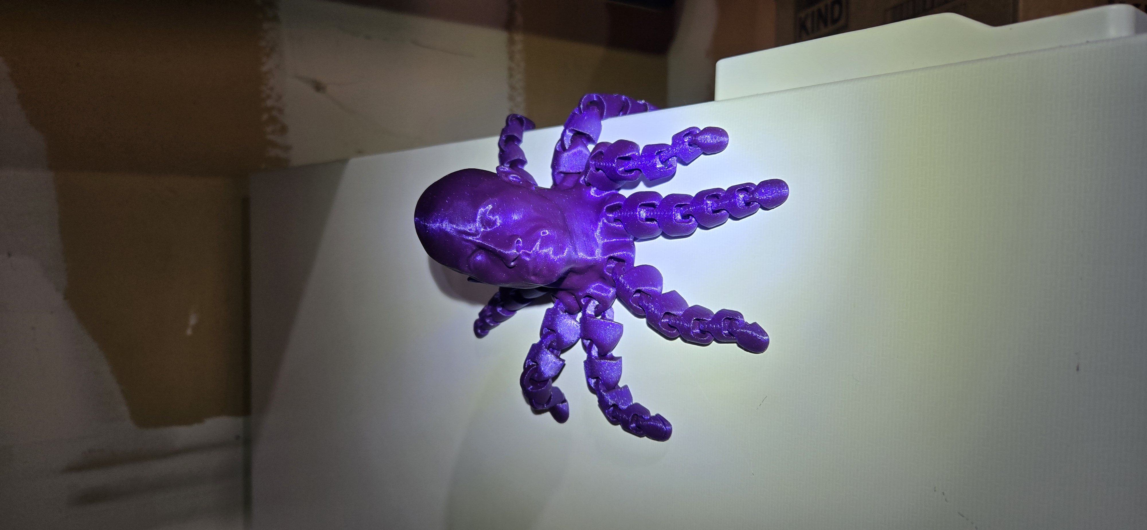 Miniatura 3 do modelo 3D Magnetic Rocktopus