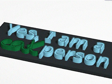 Cat Person Room Sign