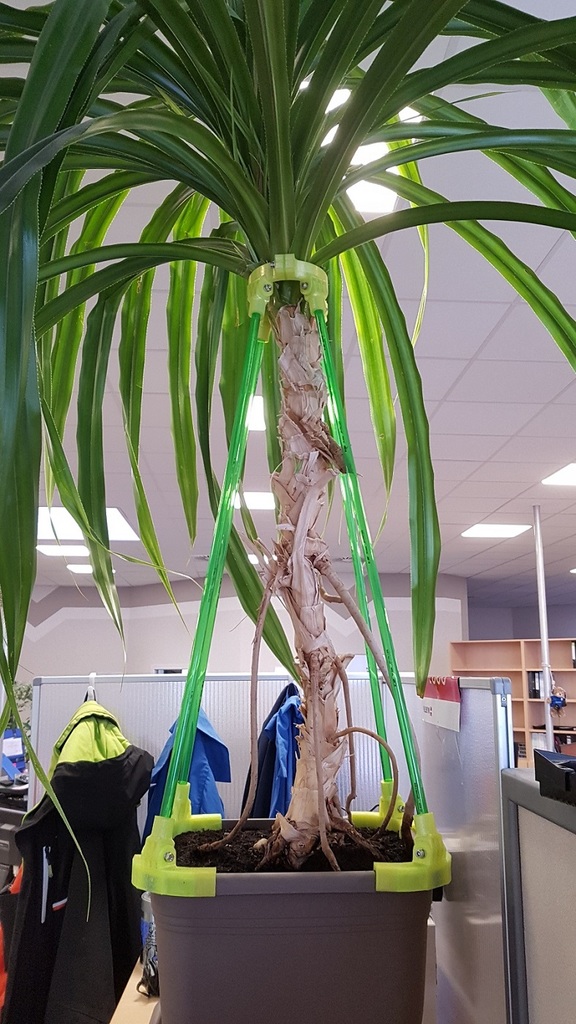 Plant Support