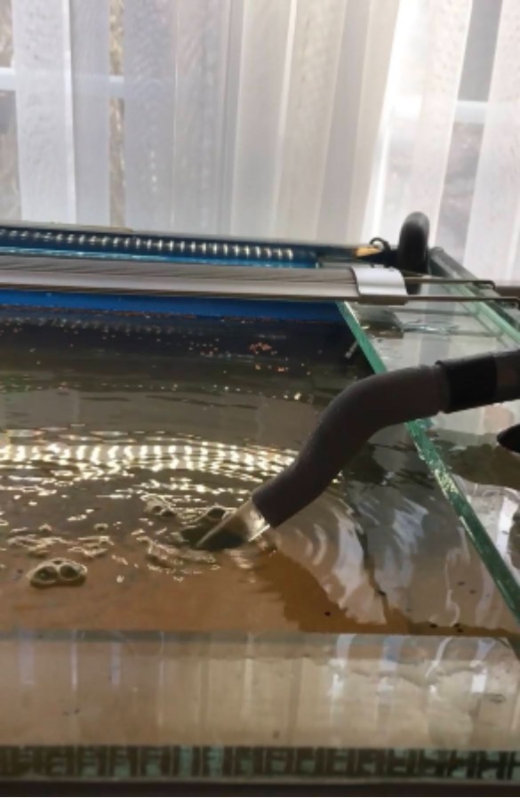 Aquarium filter adapter