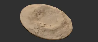 Gassendi crater by Luca Vidoni | Download free STL model | Printables.com