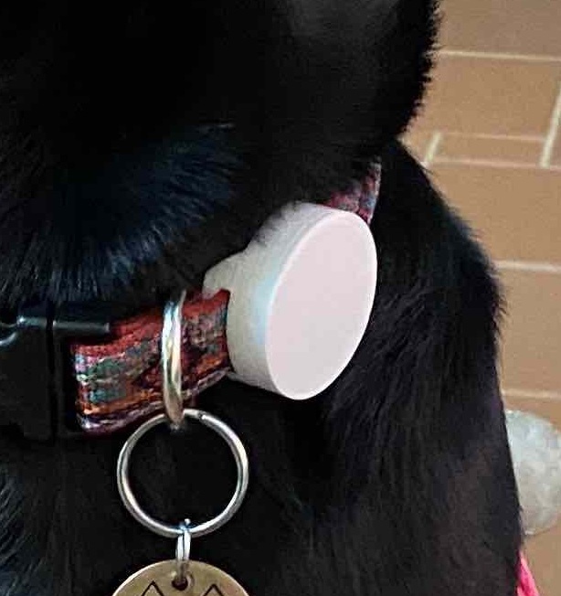 AirTag Dog Collar Holder by Joe Download free STL model