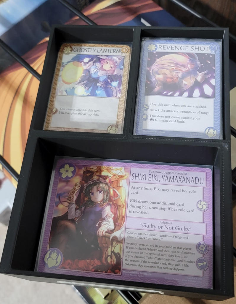 Danmaku and Lunatic Extra Case