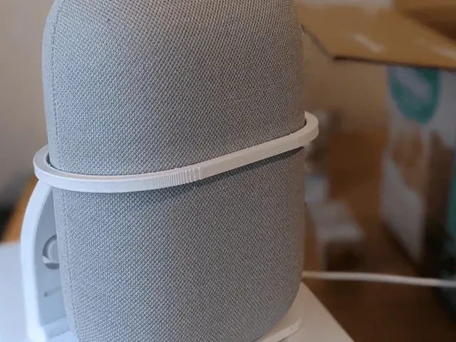 Google Nest Audio Wall Mount