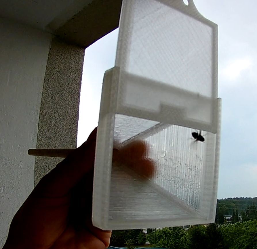 Bug Catcher