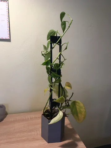 Stackable plant support