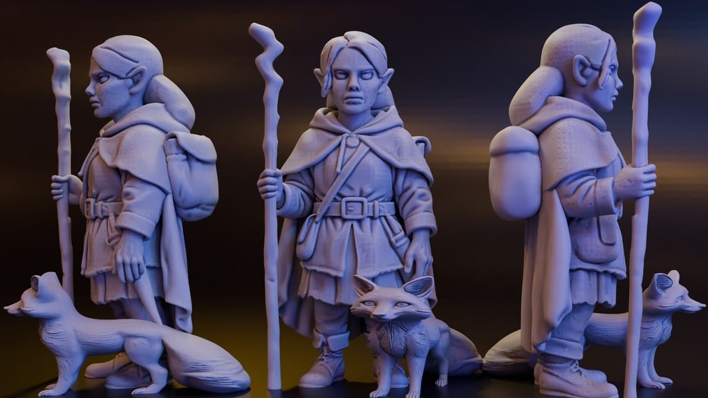 Gnome Druid + Fox (DND / TTRPG)