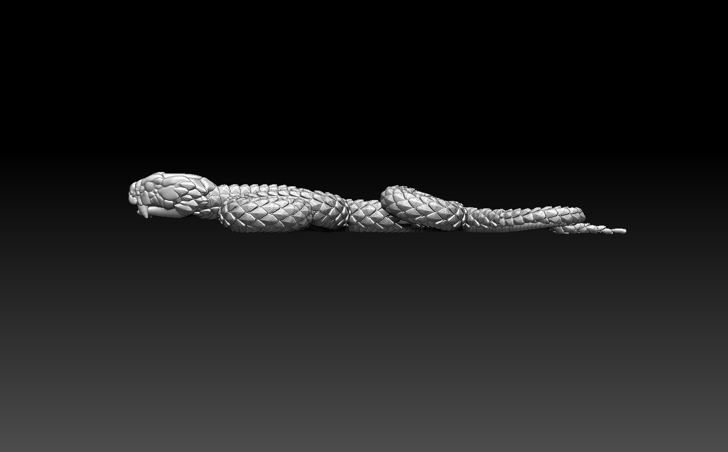 snake — thumbnail 6