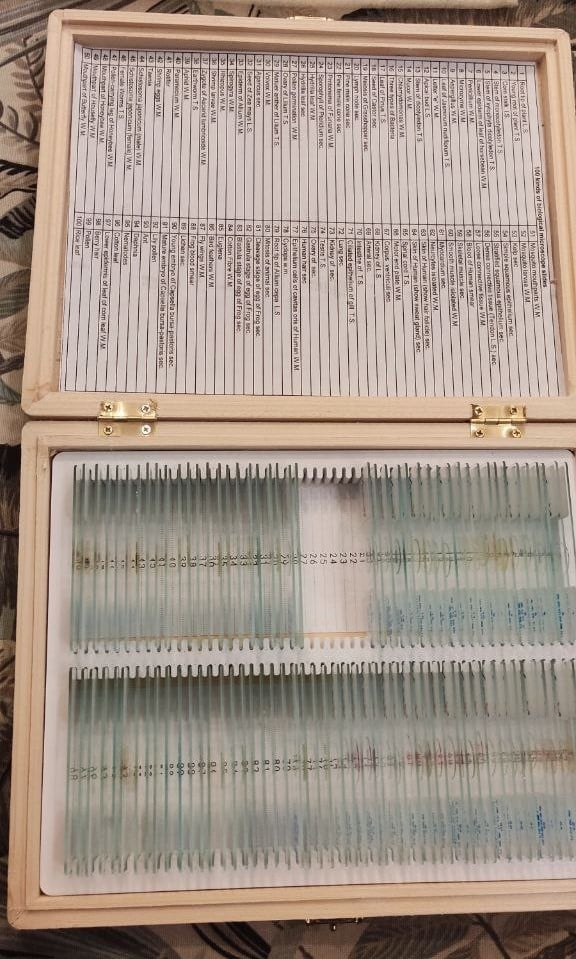100 microscope slides box incert