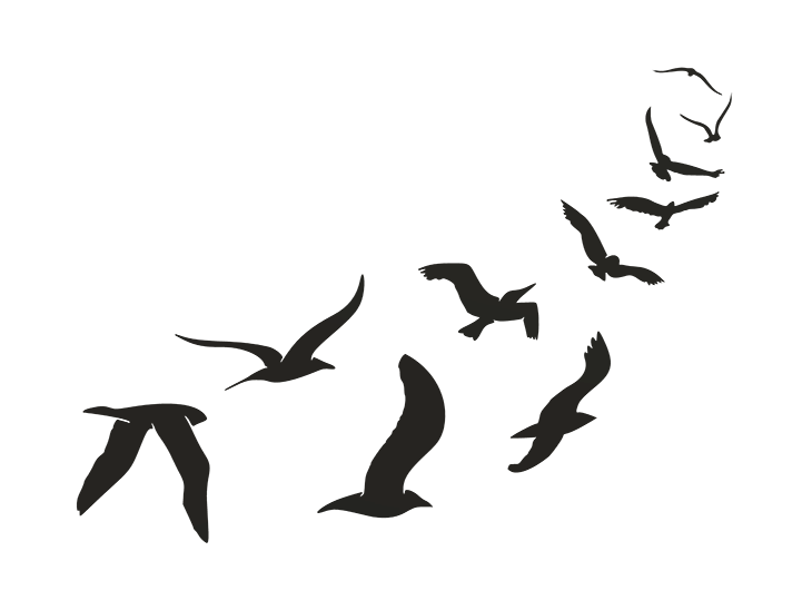 Migrating Birds by mishkin2 | Download free STL model | Printables.com