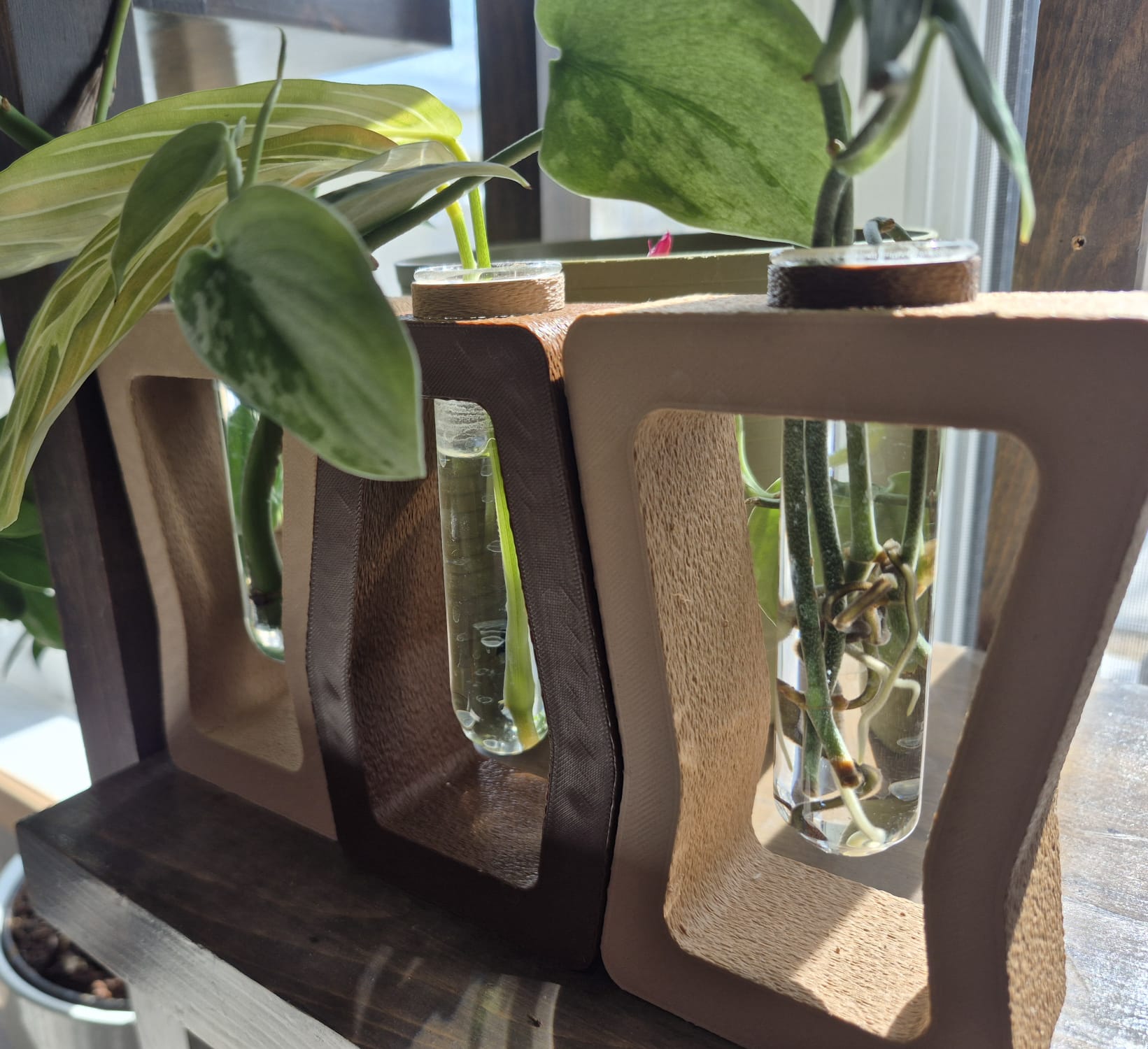 Plant Propagation Station