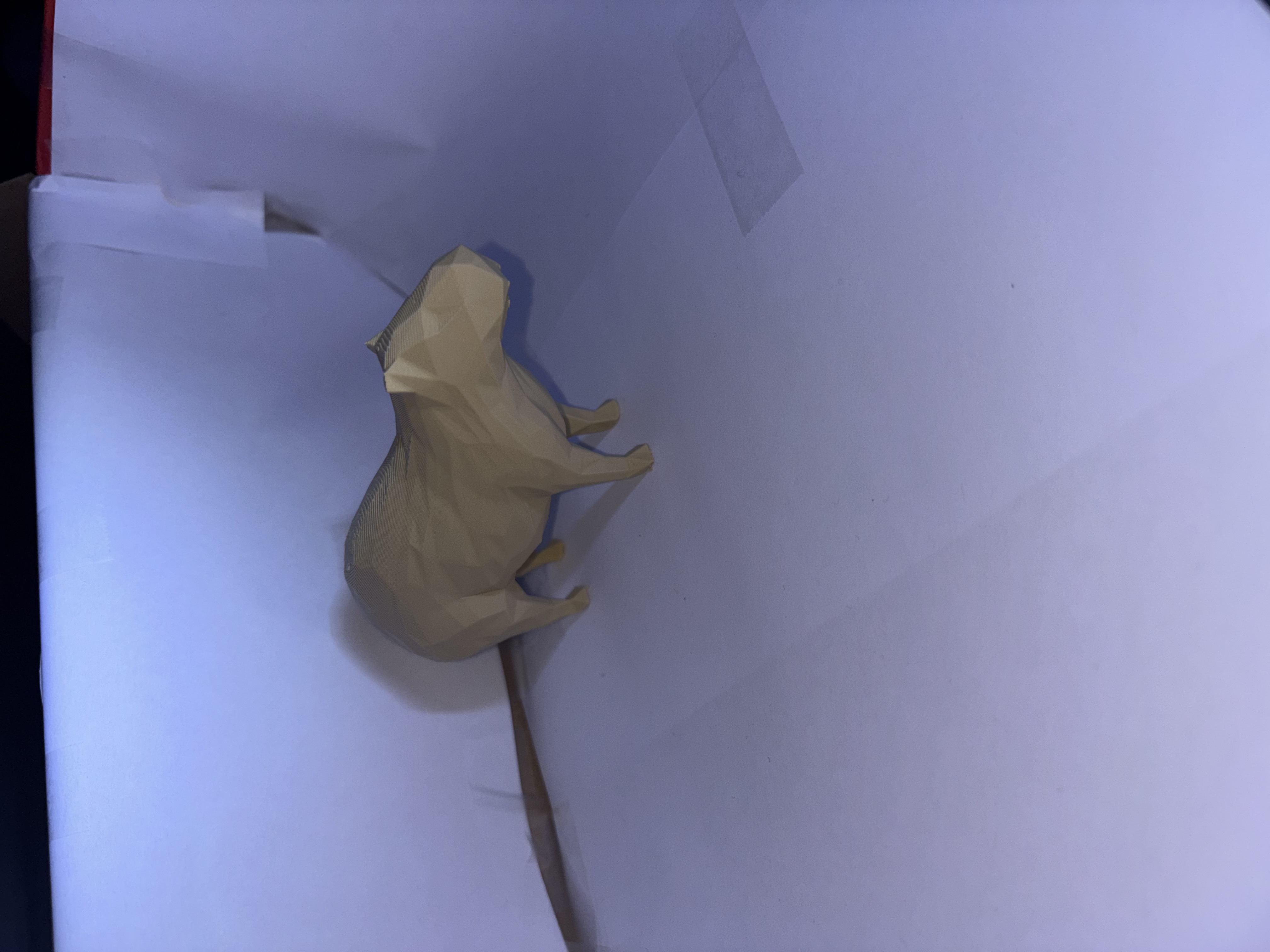 low poly capybara — miniatura 3
