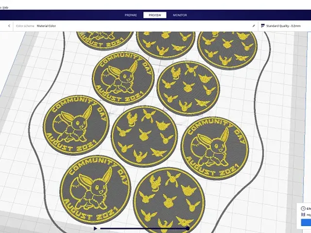 Pokemon Go Community Day #43 coin - Eevee