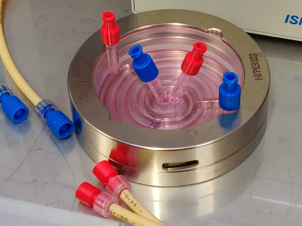 Luer Lock M/F Cap