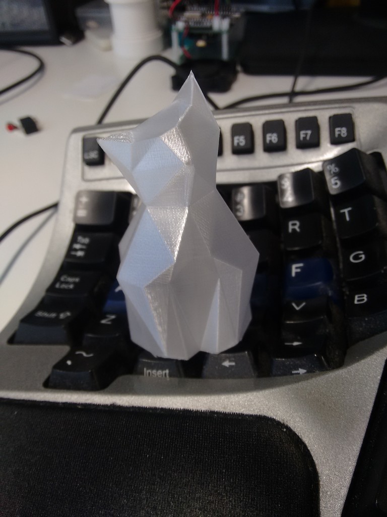 Inquisitive Low-poly cat
