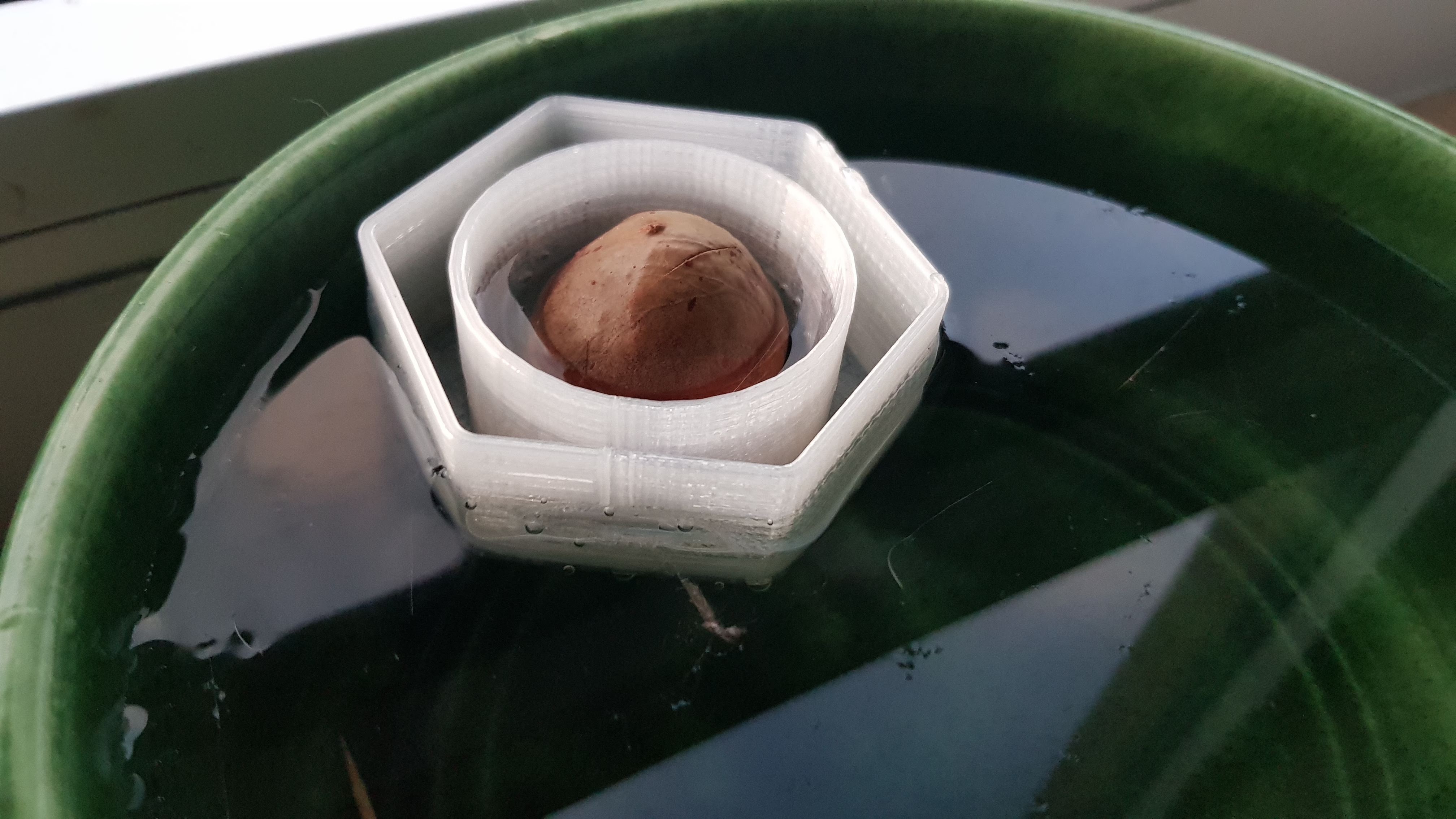 Parametric hex avocado boat