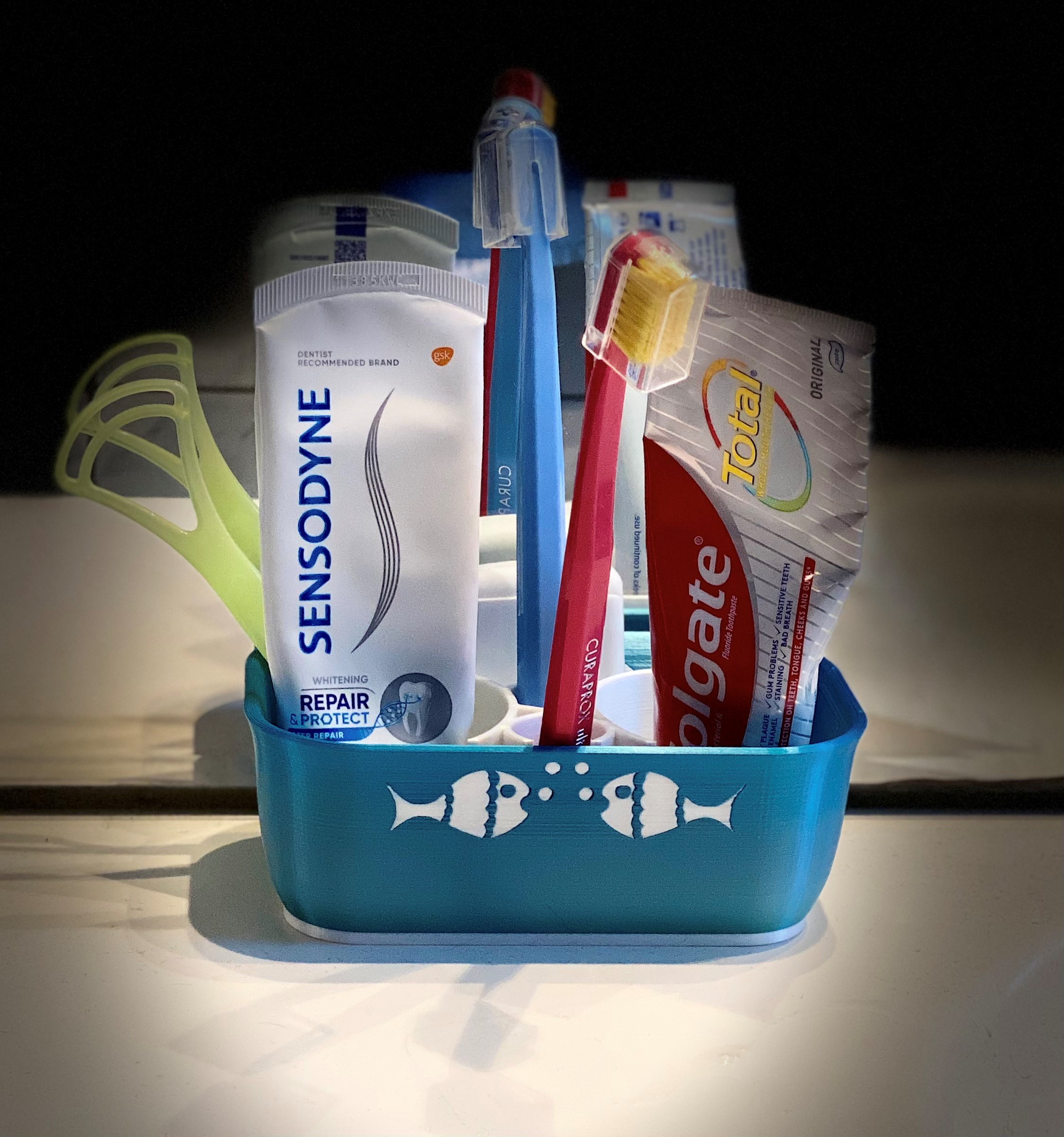 Toothbrush and toothpaste holder