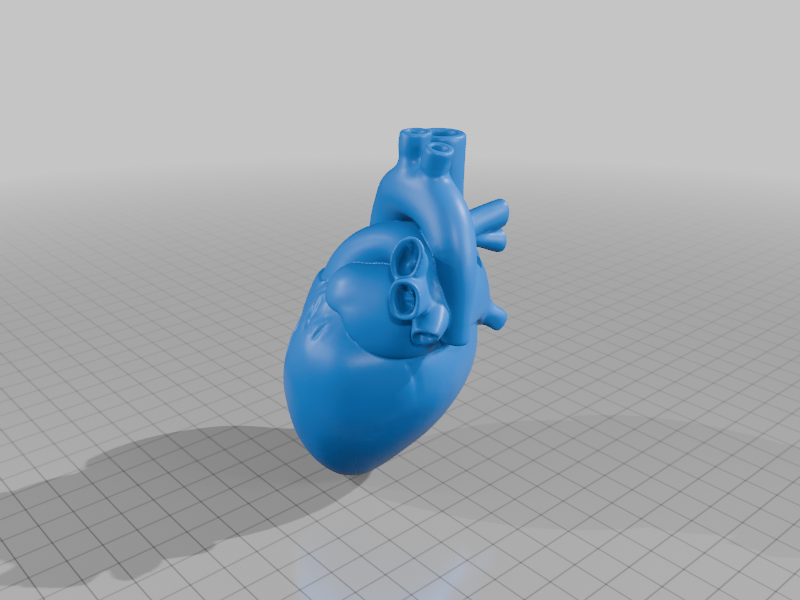 Education Model Human Heart Anatomical Structure for Medical Study StarForge Kits 3D Print STL File