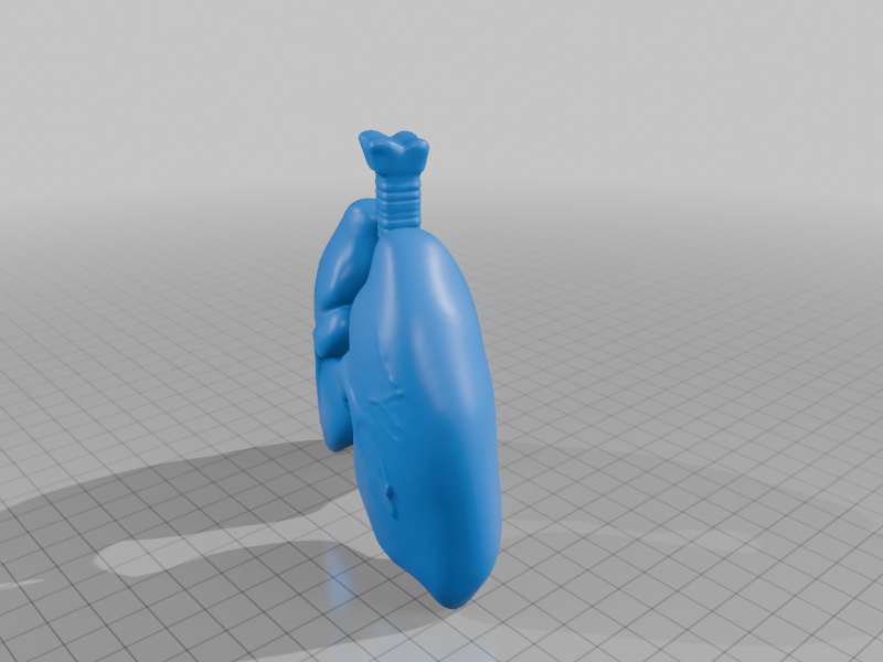 Human Respiratory System Lungs Model for Classroom Use StarForge Kits 3D Print STL File